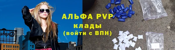 spice Богданович