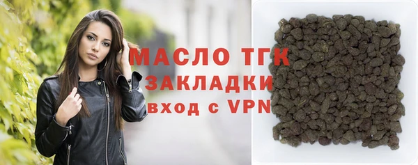 индика Богородицк