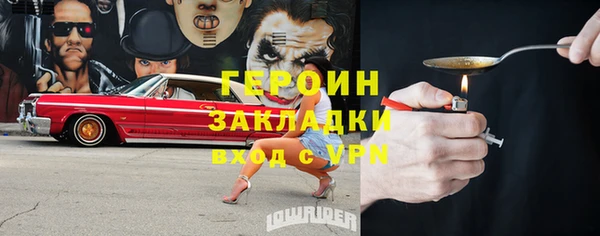 индика Богородицк