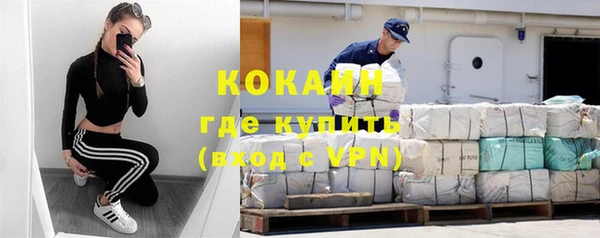 индика Богородицк