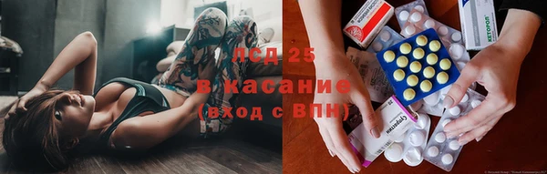 spice Богданович