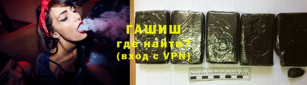 индика Богородицк
