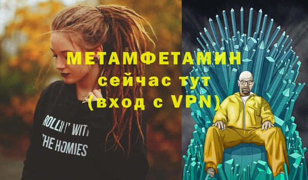 индика Богородицк