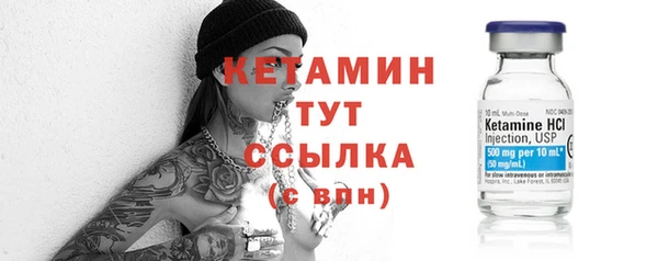 индика Богородицк