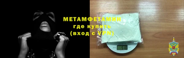 индика Богородицк