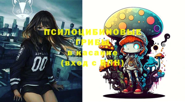 индика Богородицк