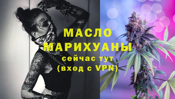 индика Богородицк