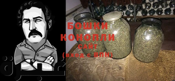 spice Богданович