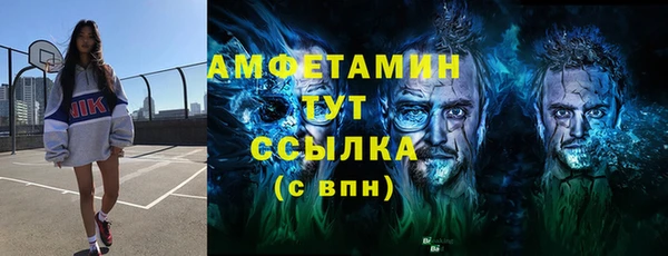 индика Богородицк