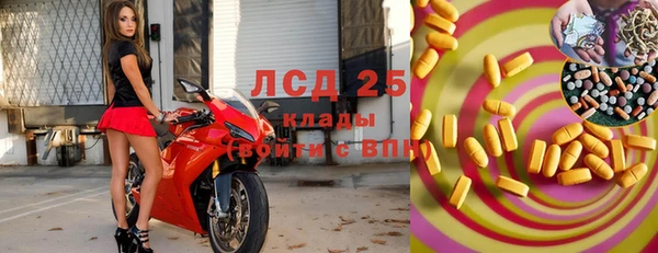 spice Богданович