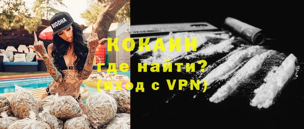 индика Богородицк
